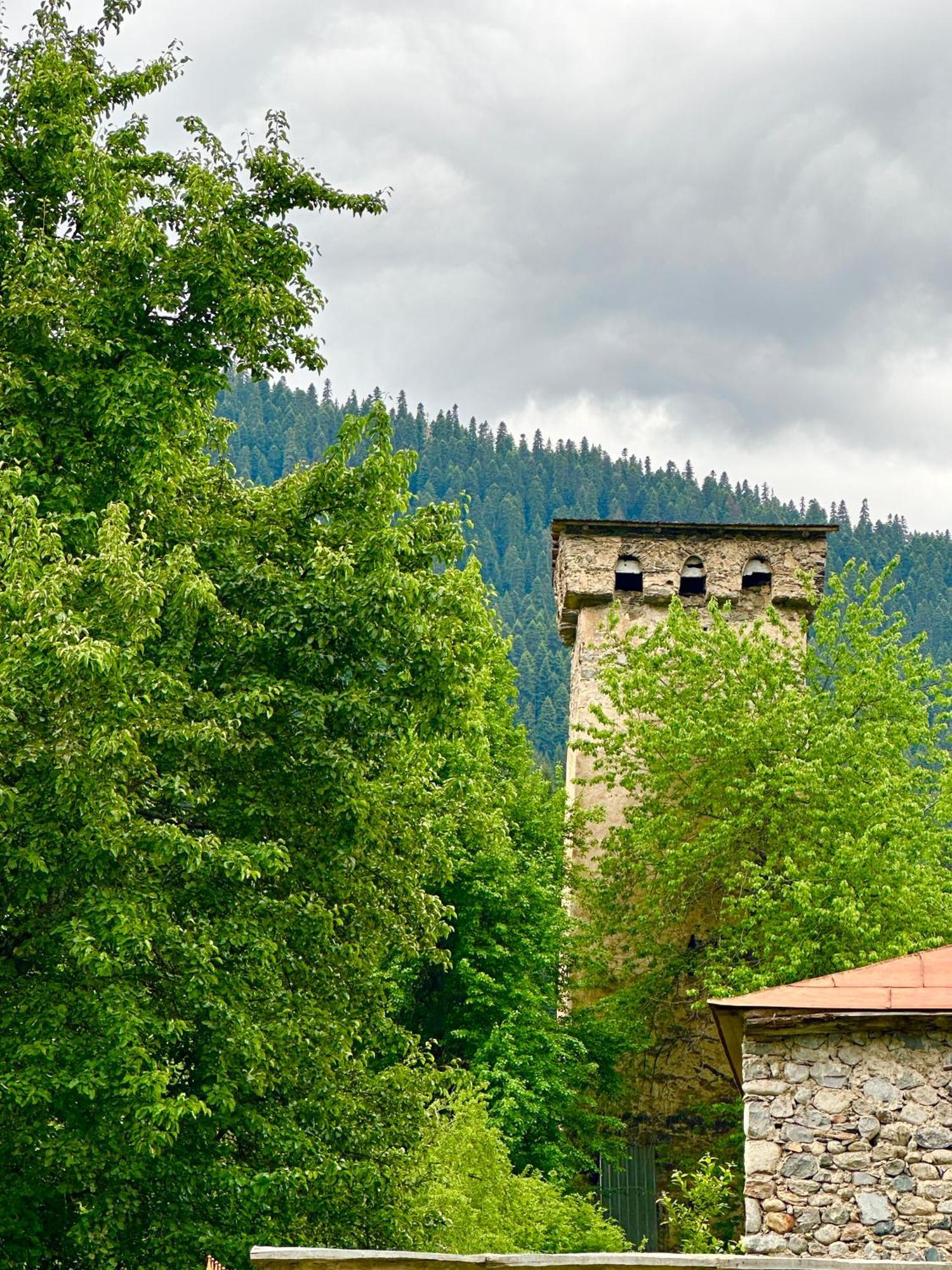 Mziuri Guest House Mestia Kültér fotó